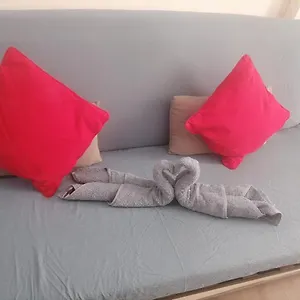 Appartement Studio In The Heart Of Cannes!, Cannes